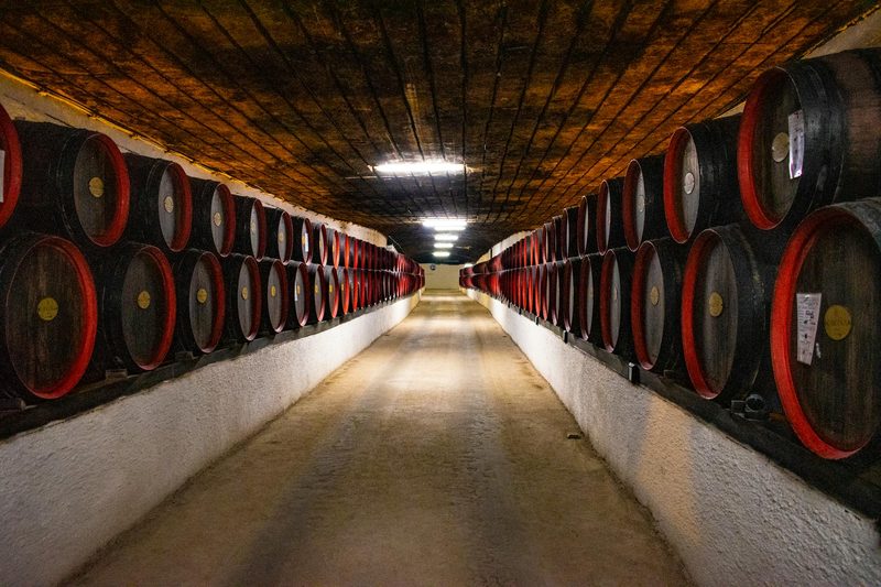 Long corridor of wine barrels in an underground cellar