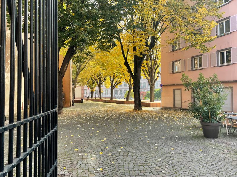 Charming courtyard with autumn foliage in Colmar old town