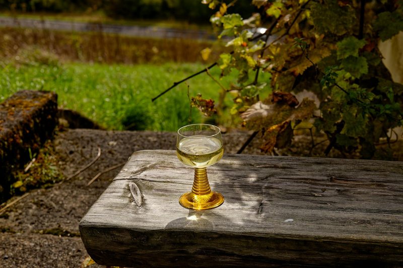 Glass of white Bordeaux wine on a rustic outdoor table in a vineyard setting