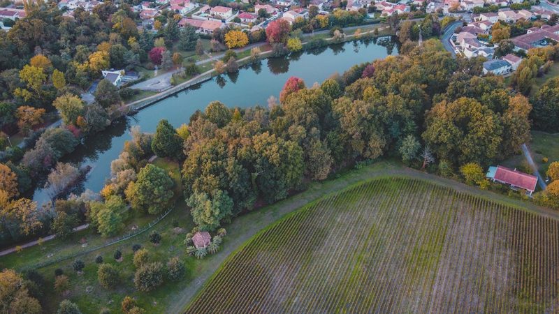 Aerial view of Bordeaux vineyards and river in autumn colors