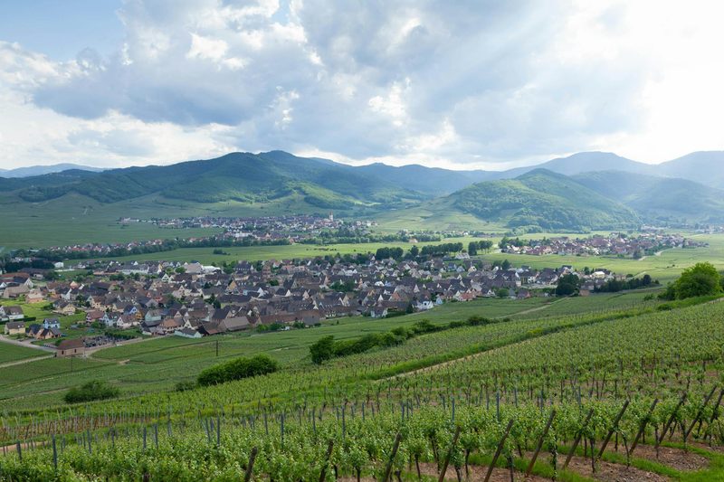 Scenic view of Mittelwihr village surrounded by vineyards in the French wine country