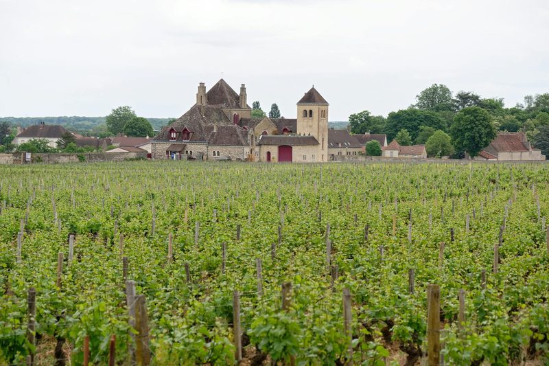 Clos de Vougeot Castle surrounded by rows of vineyards in Burgundy, France