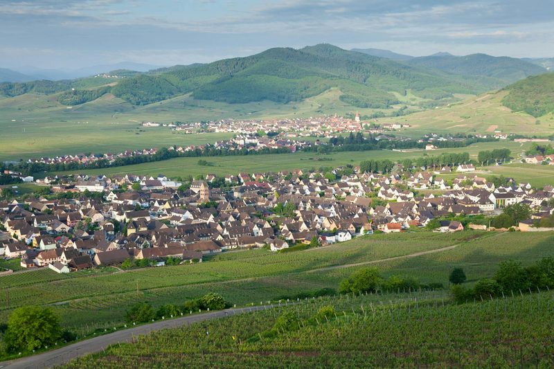 Aerial view of a charming French village surrounded by vineyards and rolling hills in the wine country