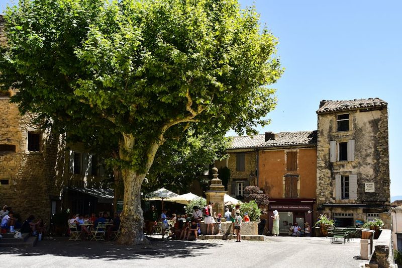 Bustling village square with cafe under a large tree in Provence