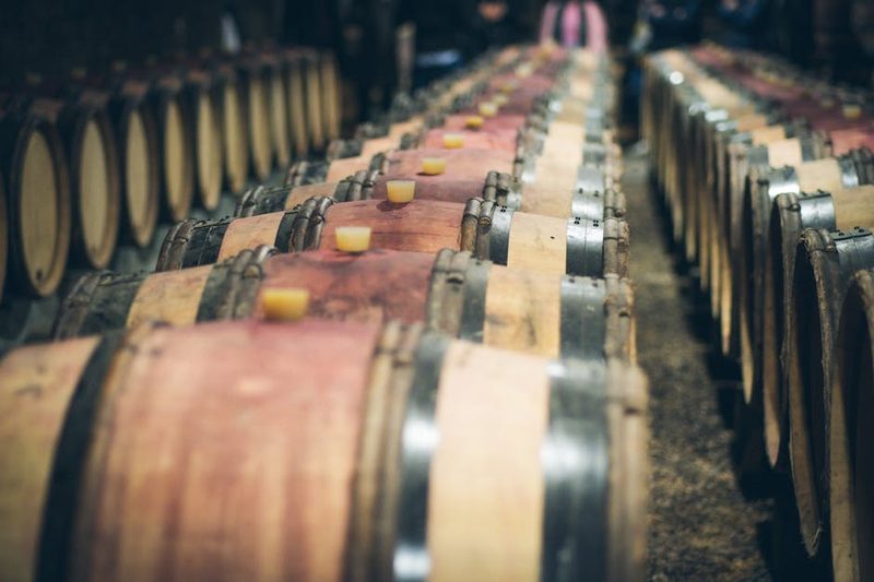 Rows of wooden wine barrels aging in a dimly lit wine cellar