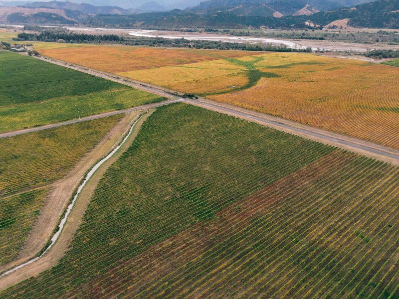 Sweeping vineyard landscape in the Rhône Valley wine region of France